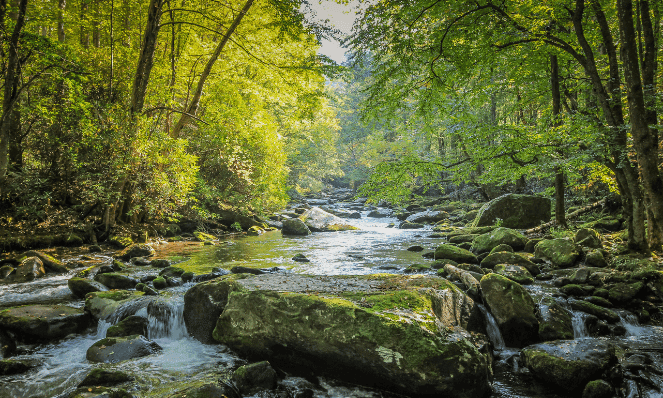 a creek with large rocks and trees in the smokey mountains national park, ideal for Tennessee romantic getaways