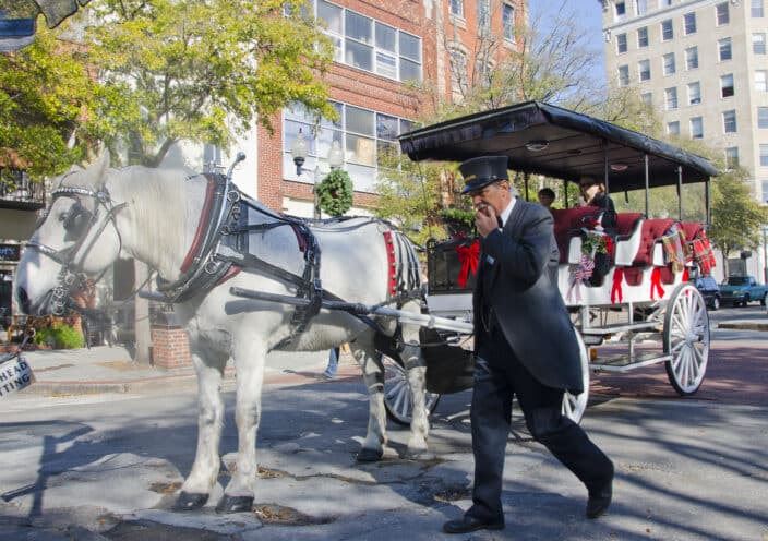 horse tour wilmington nc