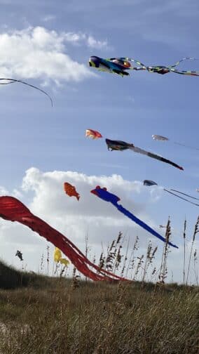 Why not fly a kite on the beach at Fort Fisher? This activity is such a fun thing when in Wilmington, NC