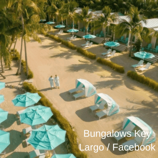 a couple of people standing next to a beach with umbrellas and palm trees