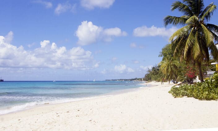a beach with palm trees and blue water