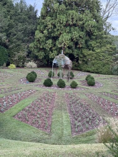 a garden with a large tree