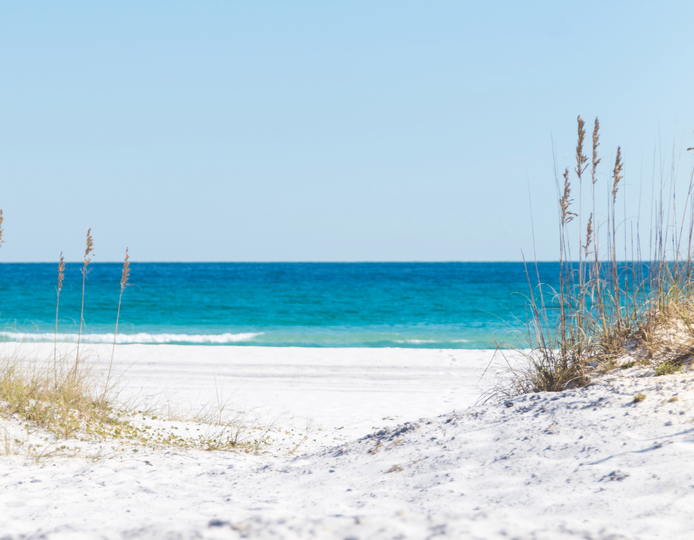 a beach with sand and grass