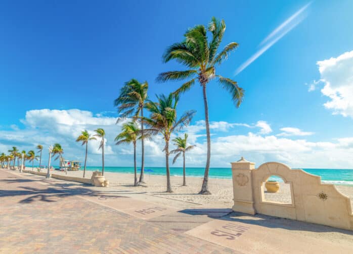 a beach with palm trees and a body of water