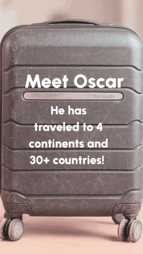 a close up of a suitcase